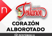 Aqui En Mi Corazon Tu Mandas Asi Lo Asegura Corazon Gitano De Tierra Caliente Radionotas gitano de tierra caliente